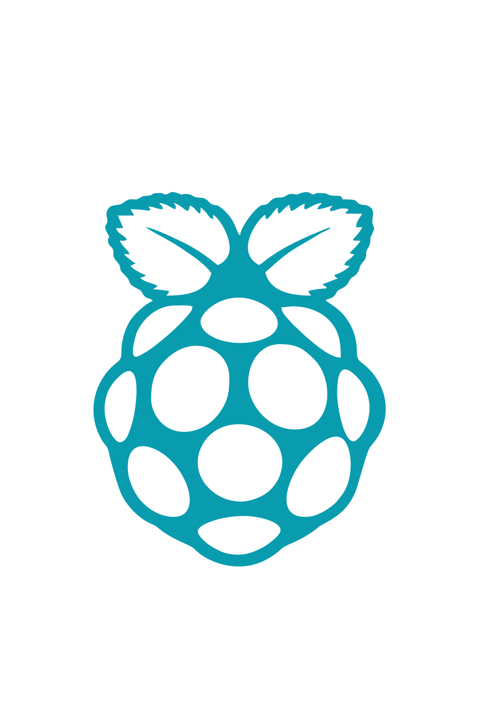 Rasberry-Pi Expert